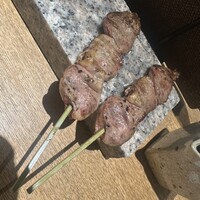 始祖鳥 - 