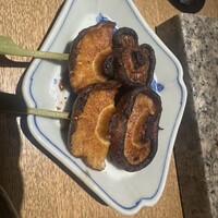 始祖鳥 - 