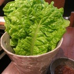 焼肉萬野 - チシャです。