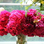 Nicolai Bergmann NOMU - 店内は花屋さんだけあって花がいっぱい！