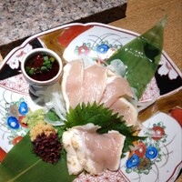 始祖鳥 - 刺し身