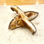 練馬 鳥長 新潟 - 