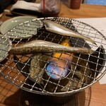 産直さばと青魚 伏見あおい - 