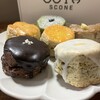 OCTA SCONE - 