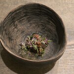 レヴォ - 月ノ輪熊