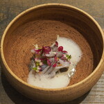 レヴォ - アオリイカ