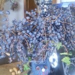 かざはな - 棕櫚の実