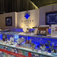 リュクス ダイニング ハプナ - 