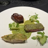Élan - 