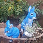 ハーブ庭園旅日記 富士河口湖庭園 園内ショップ - 