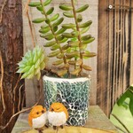 ハーブ庭園旅日記 富士河口湖庭園 園内ショップ - 