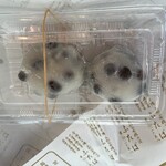 銘菓百選 高島屋京都店 - 