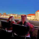 カロスキューマ - 