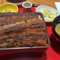 鰻う おか冨士 - 上うな重