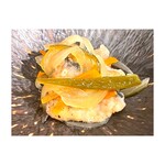 日本酒バル 酌-syaku- - 