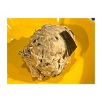 日本酒バル 酌-syaku- - 