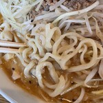 手打ちラーメン 谷家 - 味噌ネギラーメン（大盛り）の麺アップ