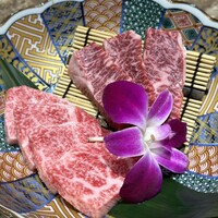 北新地 肉料理 名門 - 