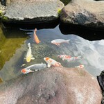 鶏匠庵 白鳥荘 - 