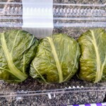 産直市場よってって - 料理写真:令和6年11月 営業時間(9:00〜18:00)
めはり寿司3個(おかか、さけ、わさび) 税込635円