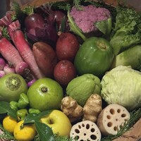 レフェルヴェソンス - 