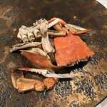 リストランテ アキタ 南青山 - 