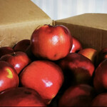 ブランジュリー パリの空の下 - これはシェフブログに乗っていた、紅の夢