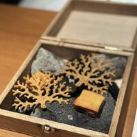 日本のイタリア料理店 sai - 