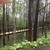 六花山荘 - 外観写真:チップでフカフカの長い橋の先には林の中に溶け込むように六花山荘が