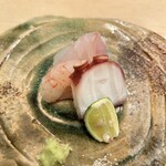 鮨 近藤 - お造り　タコ、真鯛、ボタンエビ