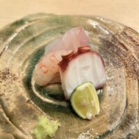 鮨 近藤 - お造り　タコ、真鯛、ボタンエビ