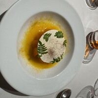 Benoit Alain Ducasse - 