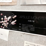 カプセルモンスター - 