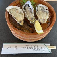 いかだ荘 山上 - 