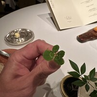 レ セゾン - 幸せの四葉クローバー