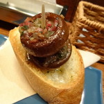 ドノスティア - 