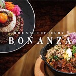 ルー&スープカレー ボナンザ - 料理写真: