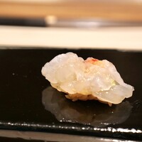 札幌 鮨 よこ田 - 