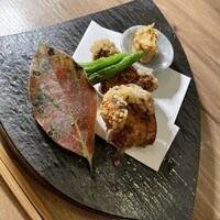 庵樹 - 