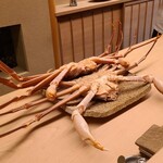 道人 - 正式名は漢字だと楚蟹or頭矮蟹(ズワイガニ、地方名:松葉蟹、越前蟹など)
      産卵期は晩冬、旬は晩秋～晩冬
      雌の漁期は11月上旬～1月上旬
      (資源保護のため漁期が短い)
      雄の漁期は11月上旬～3月中旬 