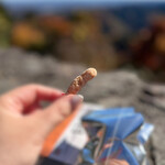 高尾山薬王院　札場 - 料理写真:想像より少し細めで…小指より小さいサイズ。
カリッとサクッと軽い食感で、優しい甘さ… 
ほんのり栗の味を感じます