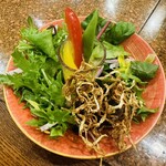 焼肉・鉄板焼ステーキ 橘通りミヤチクAPAS - サラダ