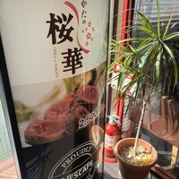 はかたの桜華 本店 - 