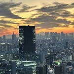 アヴランシュ・ゲネー - 