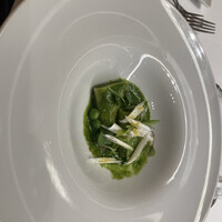 IL PINOLO 梅田 -  IL PINOLO 梅田 -