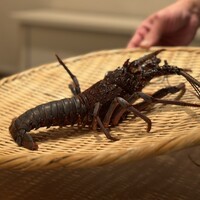 鉄板焼き いわ倉 - 