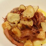 マンサルヴァ - 