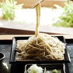 Ryugasaki Purazahoteru Shikitei - 国産小麦使用！自家製麺せいろ