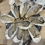 かきのおきて - 