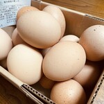 坂斉 - 購入した、白赤玉、1kg